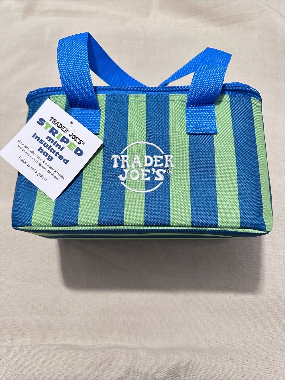 Trader Joe's | Insulated Bag | Striped Insulated Mini Tote | Blue & Green